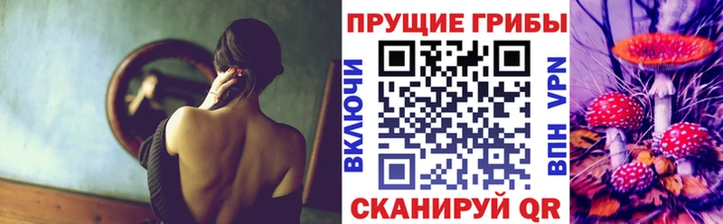 Купить где  Луховицы  Псилоцибиновые грибы Cubensis 